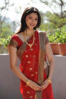 Tanvi Vyas Saree Photos